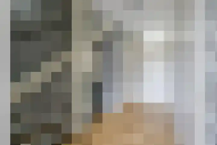 Mezenhof 106 Schagen thumbnail 29