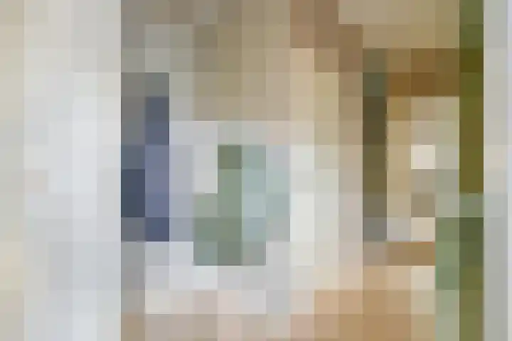 Mezenhof 106 Schagen thumbnail 7