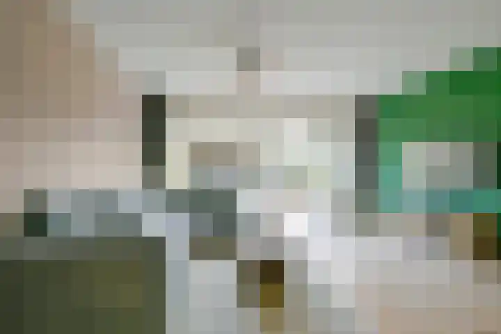 Mezenhof 106 Schagen thumbnail 8