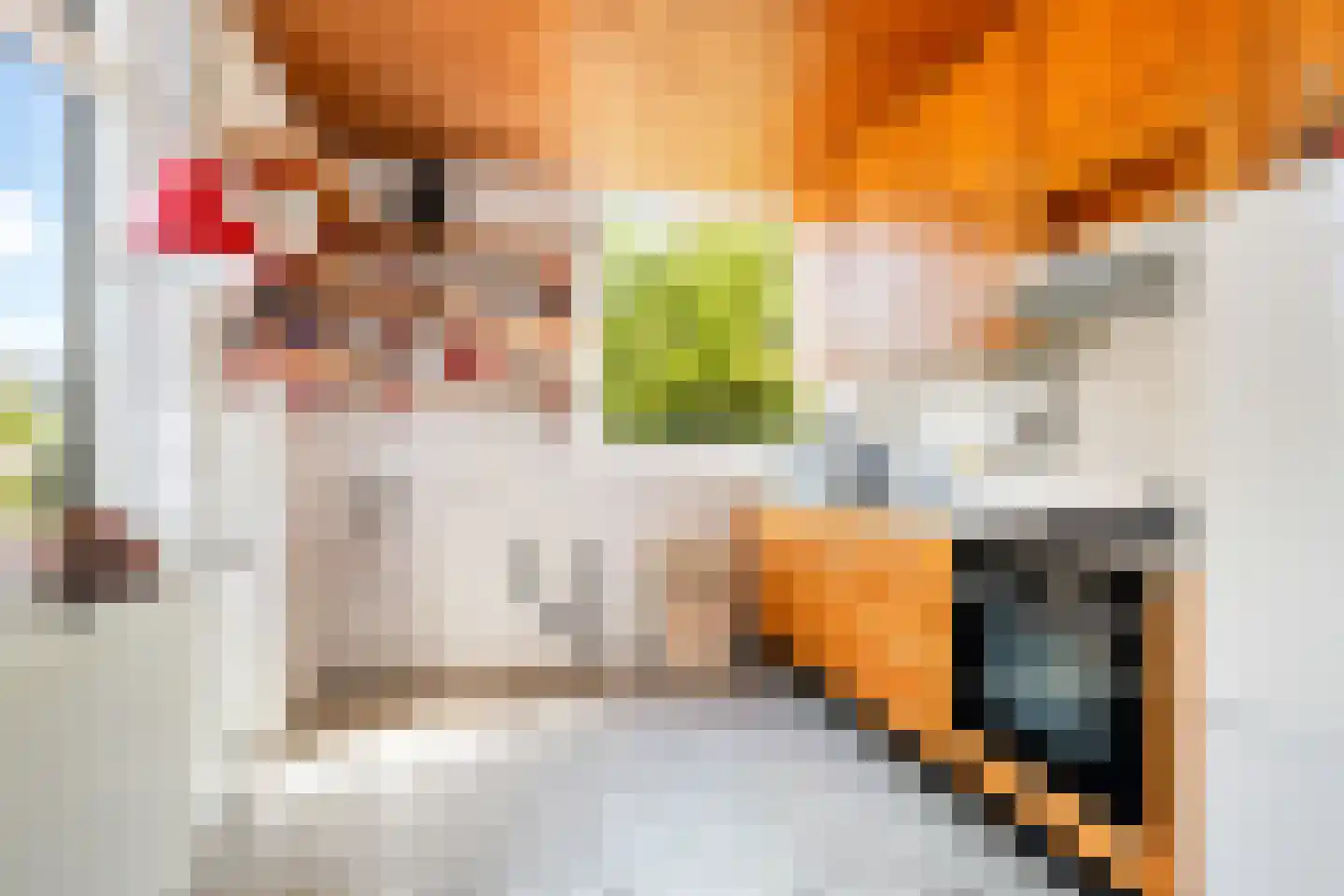 Mezenhof 11 Ouderkerk aan den IJssel thumbnail 10