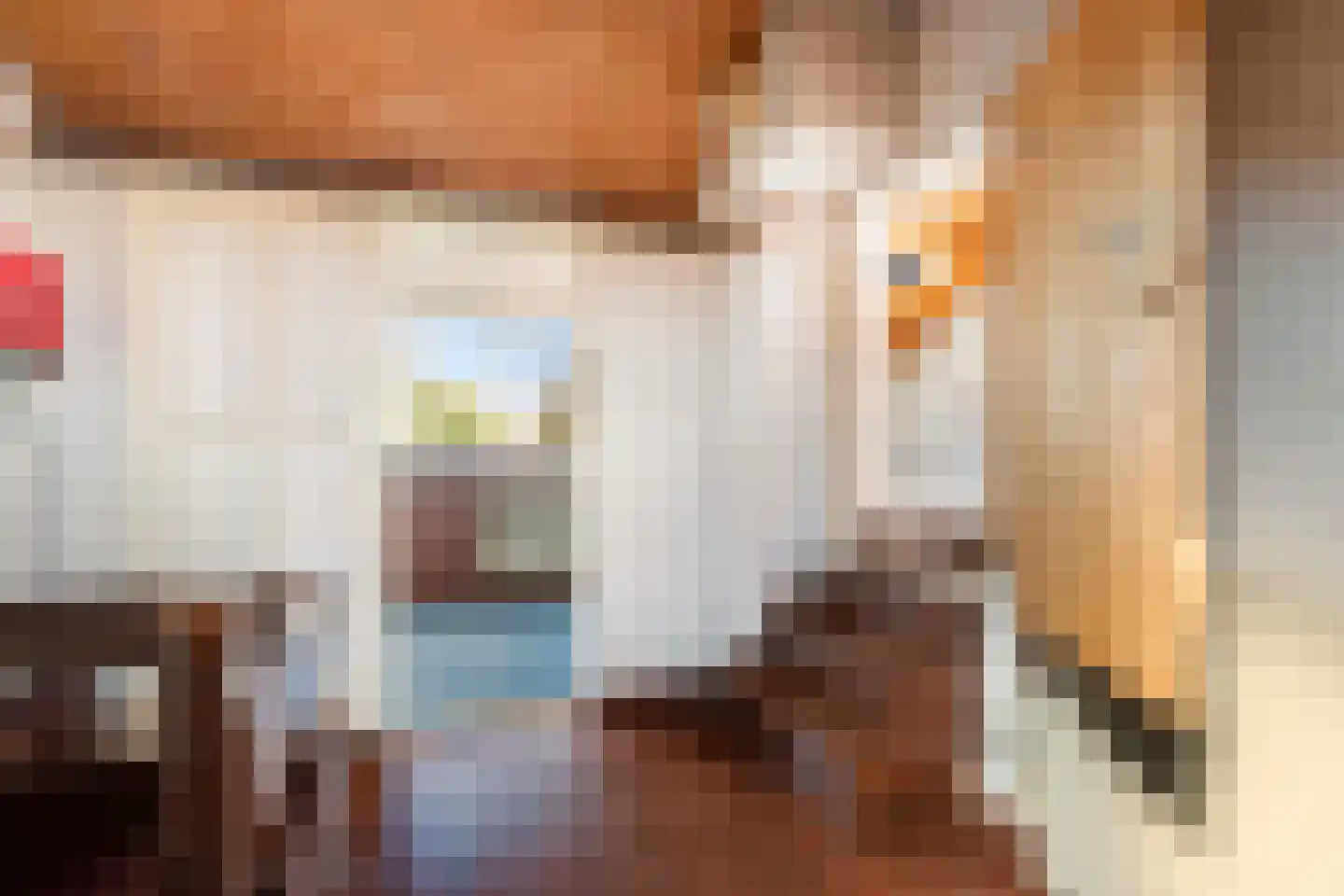Mezenhof 11 Ouderkerk aan den IJssel thumbnail 27