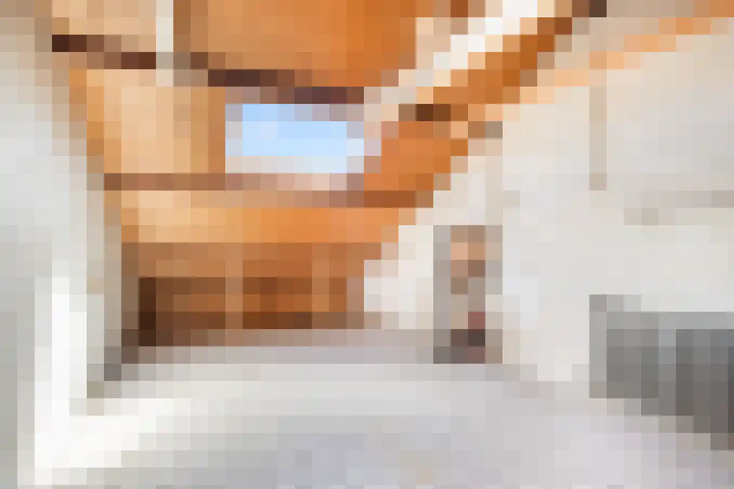 Mezenhof 11 Ouderkerk aan den IJssel thumbnail 31
