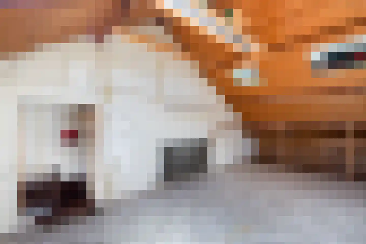 Mezenhof 11 Ouderkerk aan den IJssel thumbnail 32