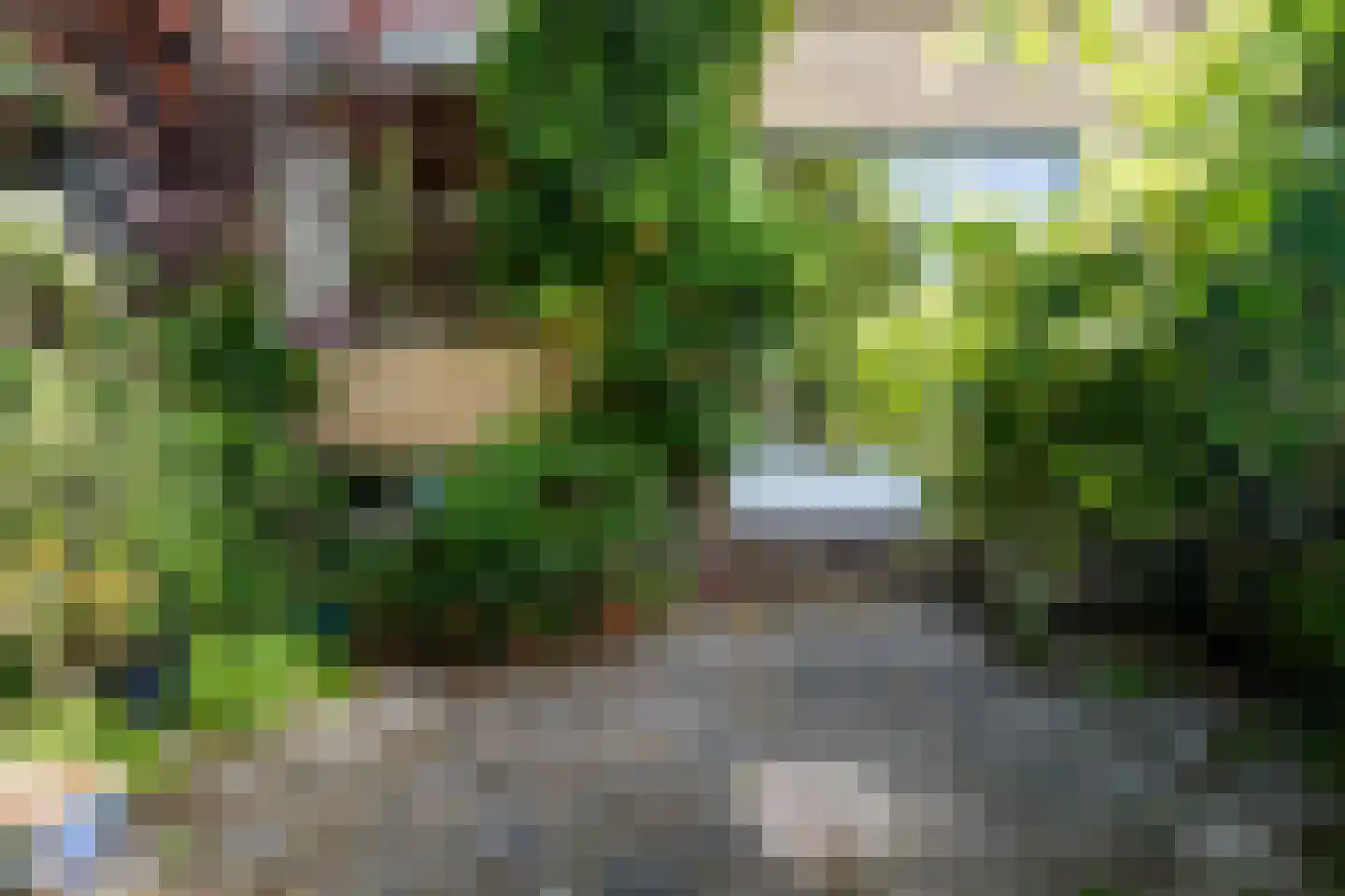 Mezenhof 11 Ouderkerk aan den IJssel thumbnail 34