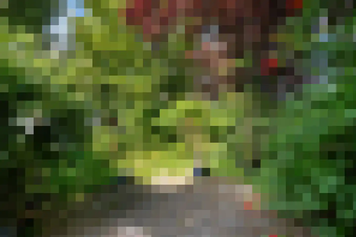 Mezenhof 11 Ouderkerk aan den IJssel thumbnail 35