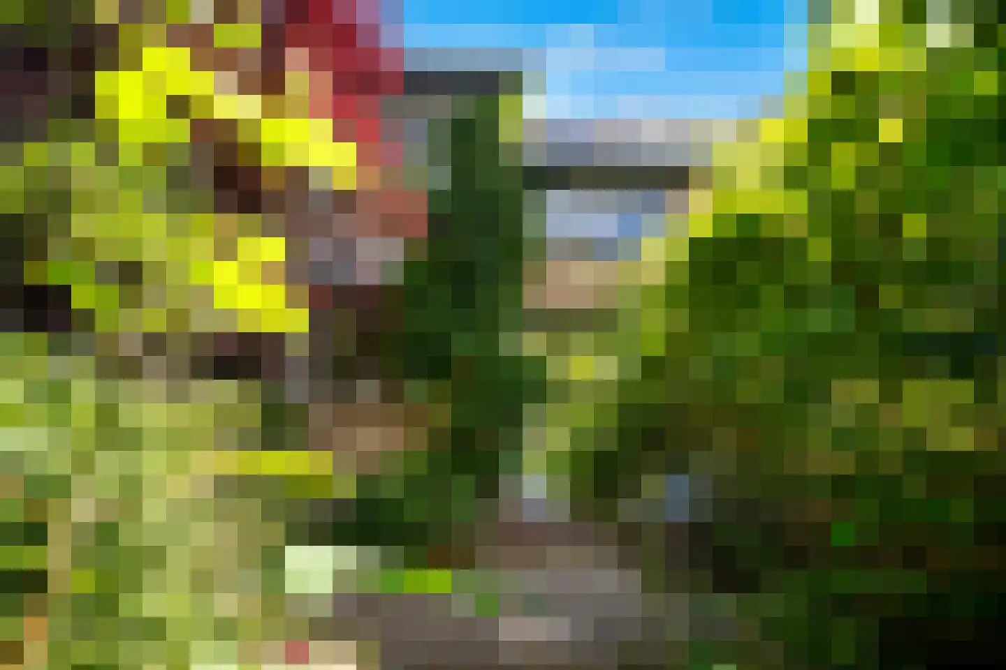 Mezenhof 11 Ouderkerk aan den IJssel thumbnail 36
