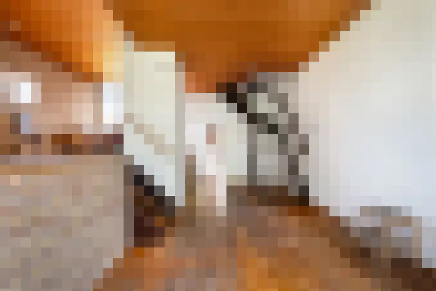 Mezenhof 11 Ouderkerk aan den IJssel thumbnail 4