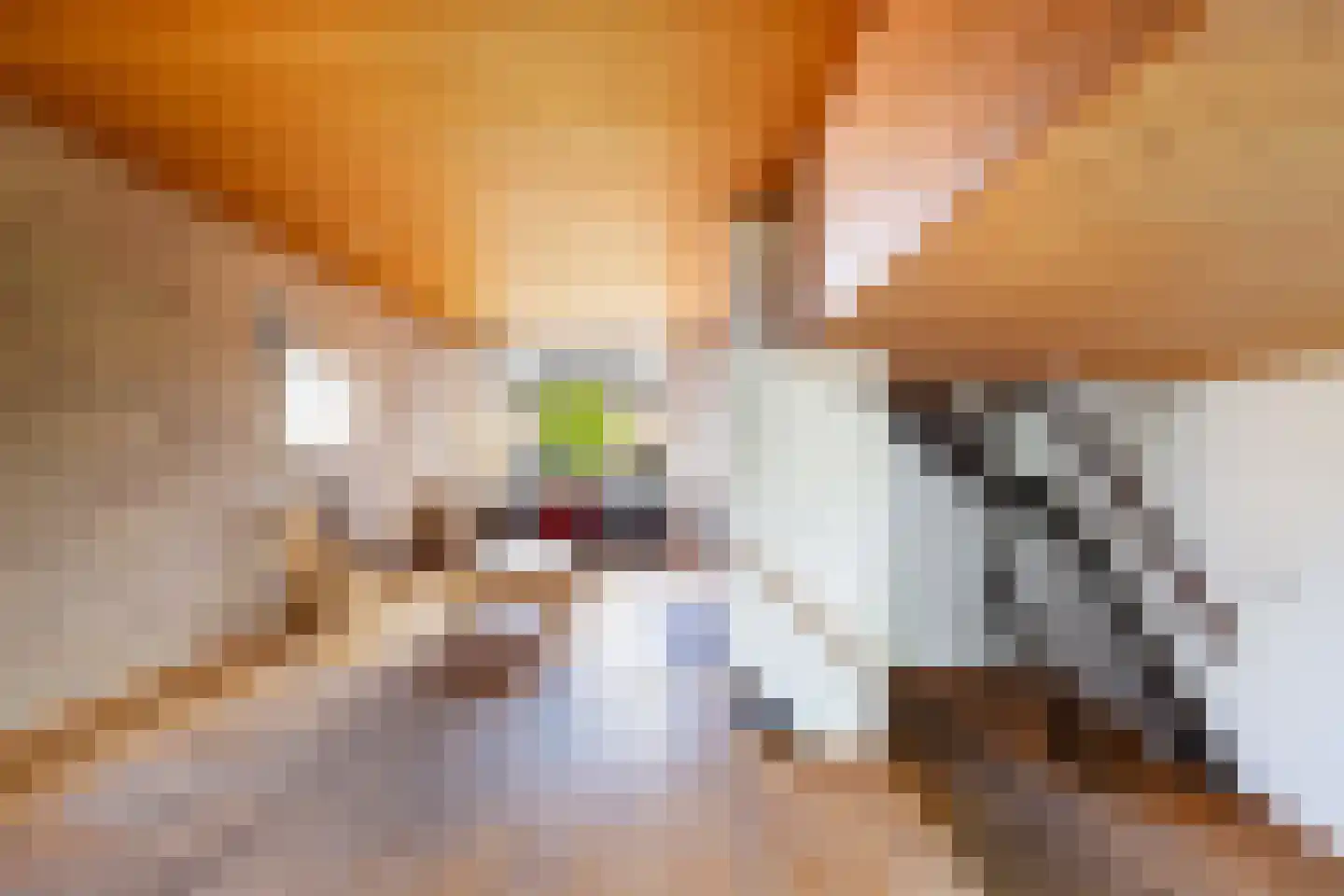 Mezenhof 11 Ouderkerk aan den IJssel thumbnail 5
