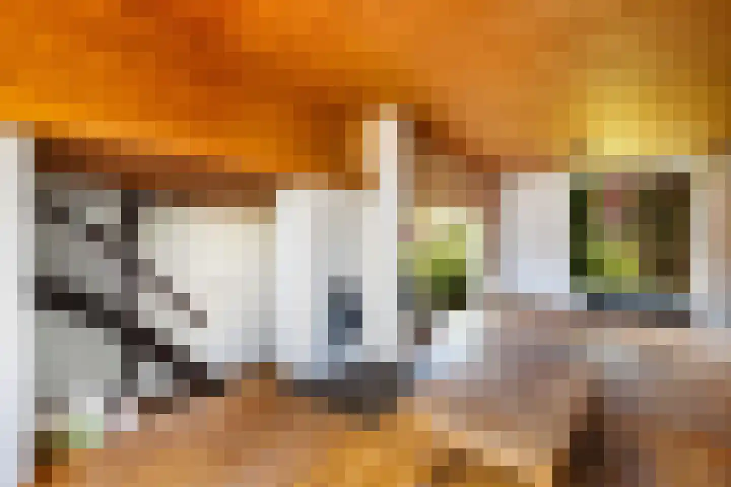 Mezenhof 11 Ouderkerk aan den IJssel thumbnail 6