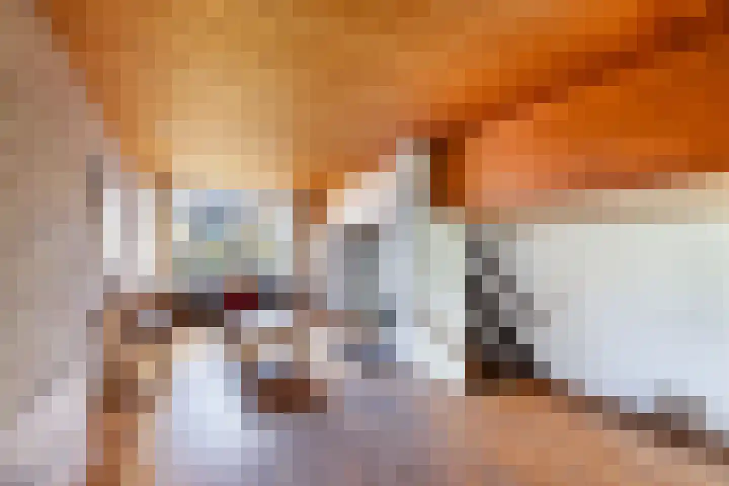 Mezenhof 11 Ouderkerk aan den IJssel thumbnail 7