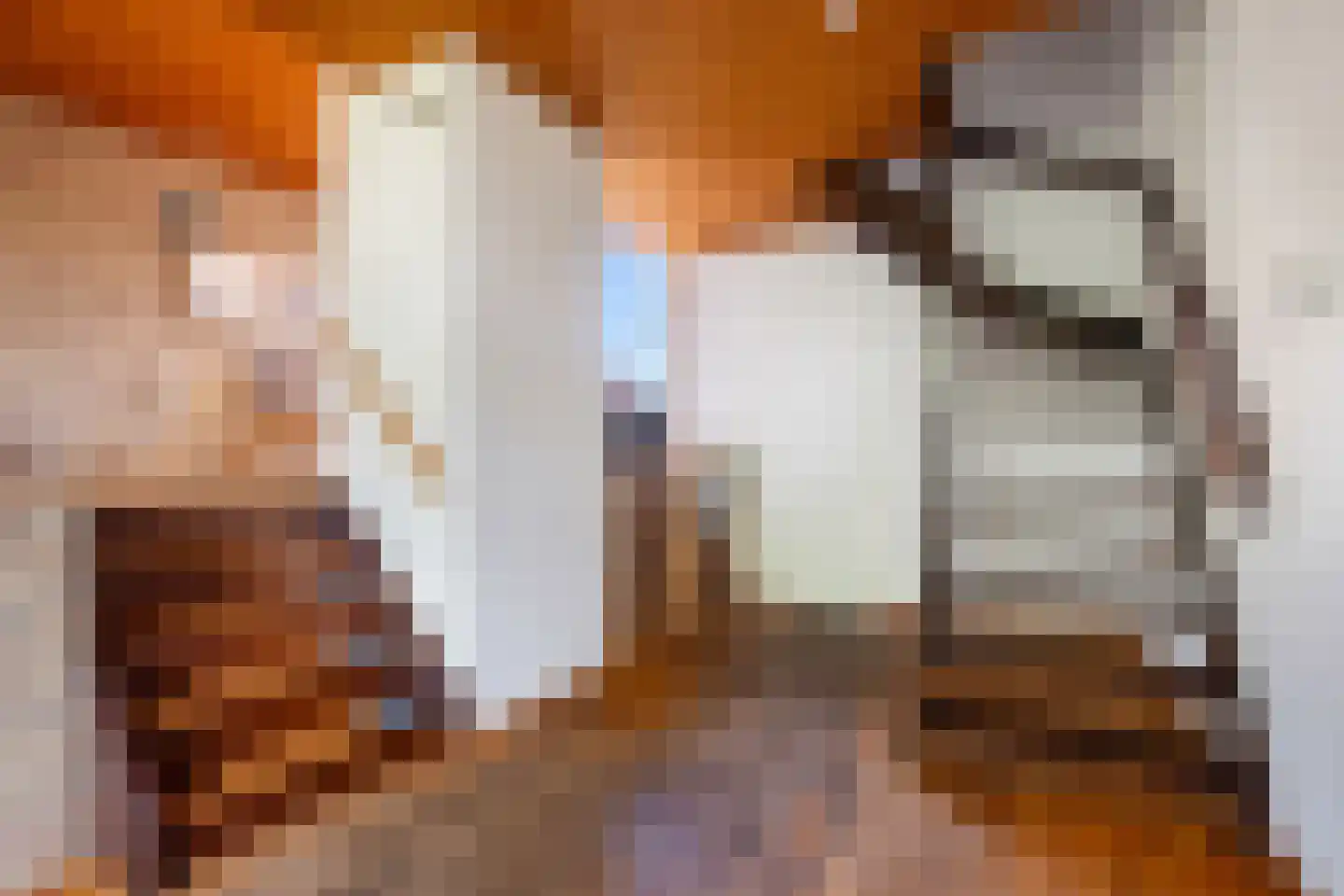 Mezenhof 11 Ouderkerk aan den IJssel thumbnail 8
