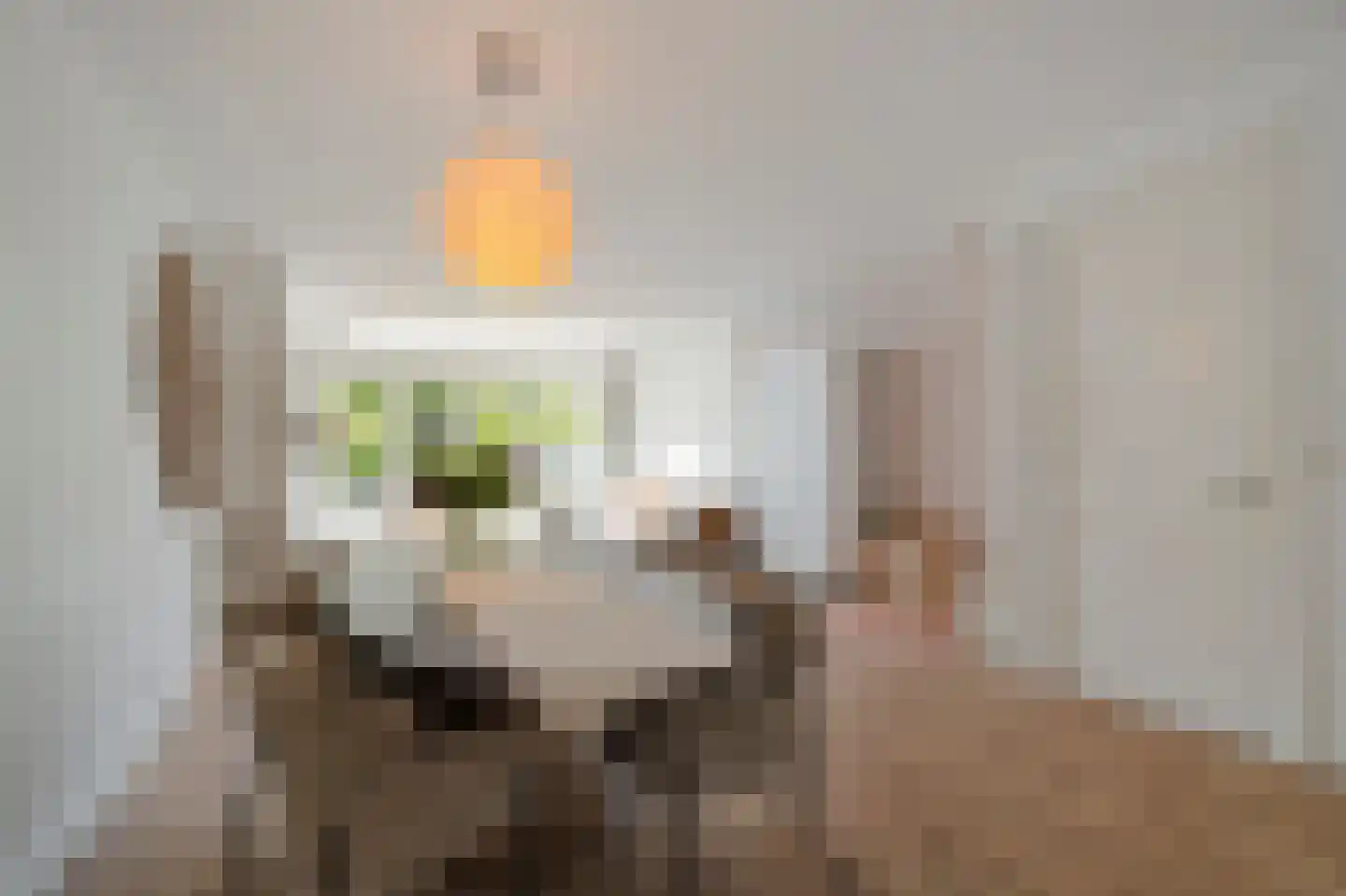 Mezenhof 121 Schagen thumbnail 18