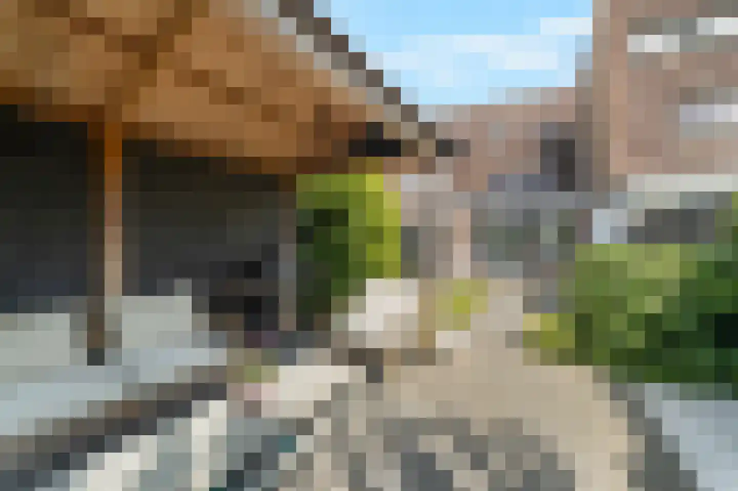 Mezenhof 121 Schagen thumbnail 26