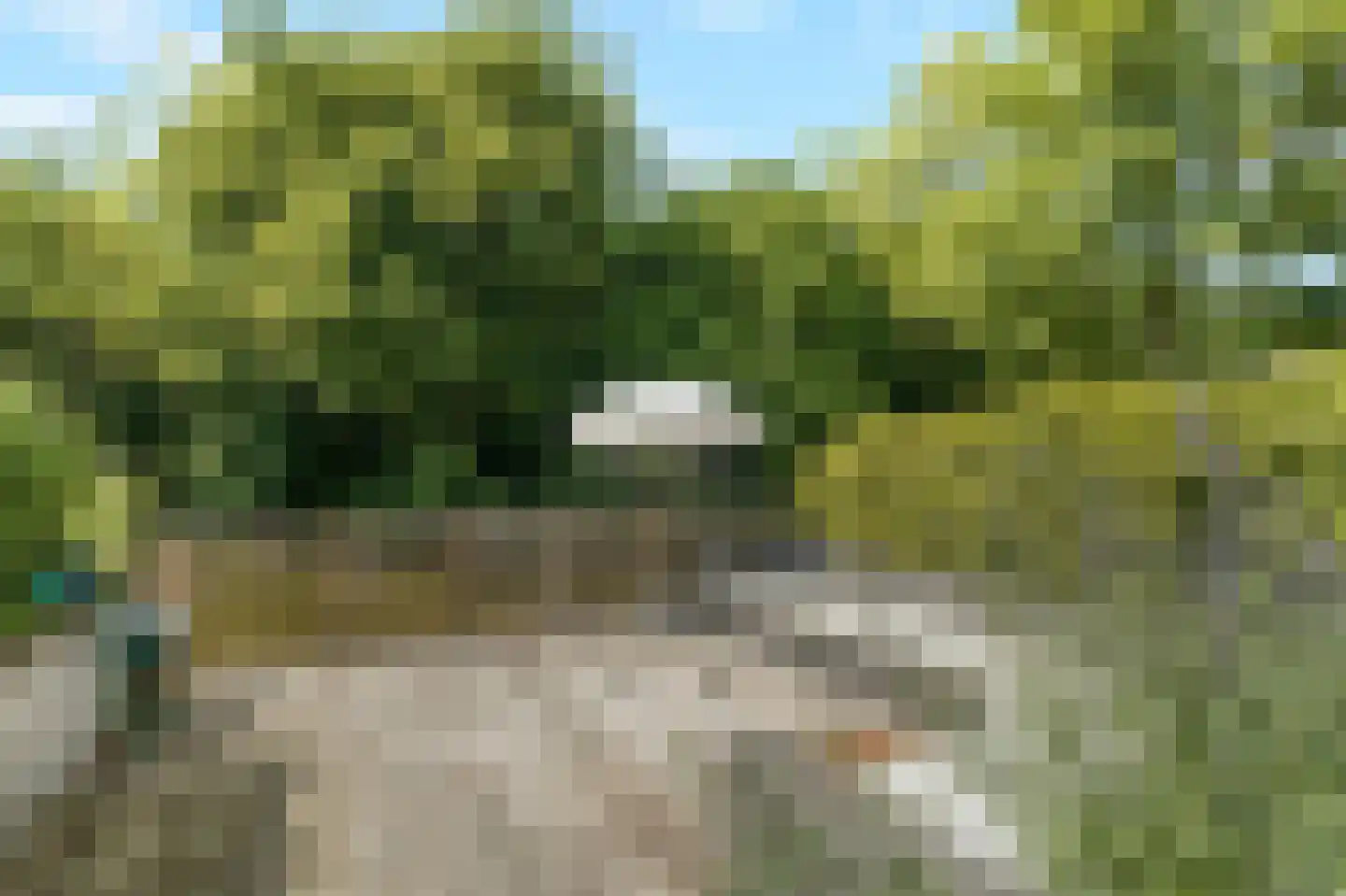 Mezenhof 121 Schagen thumbnail 27