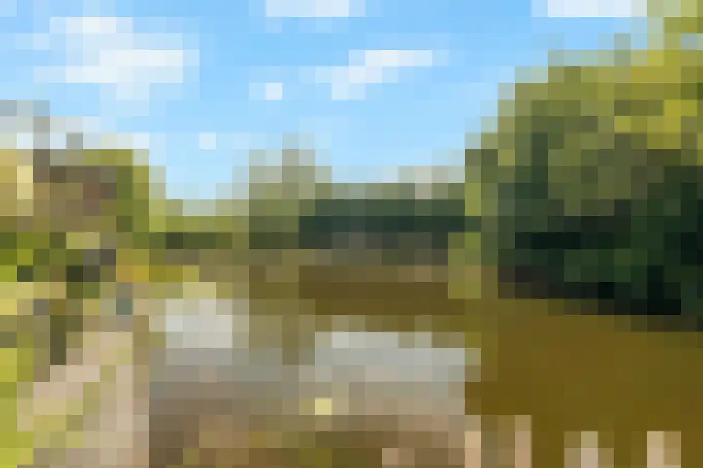 Mezenhof 121 Schagen thumbnail 28