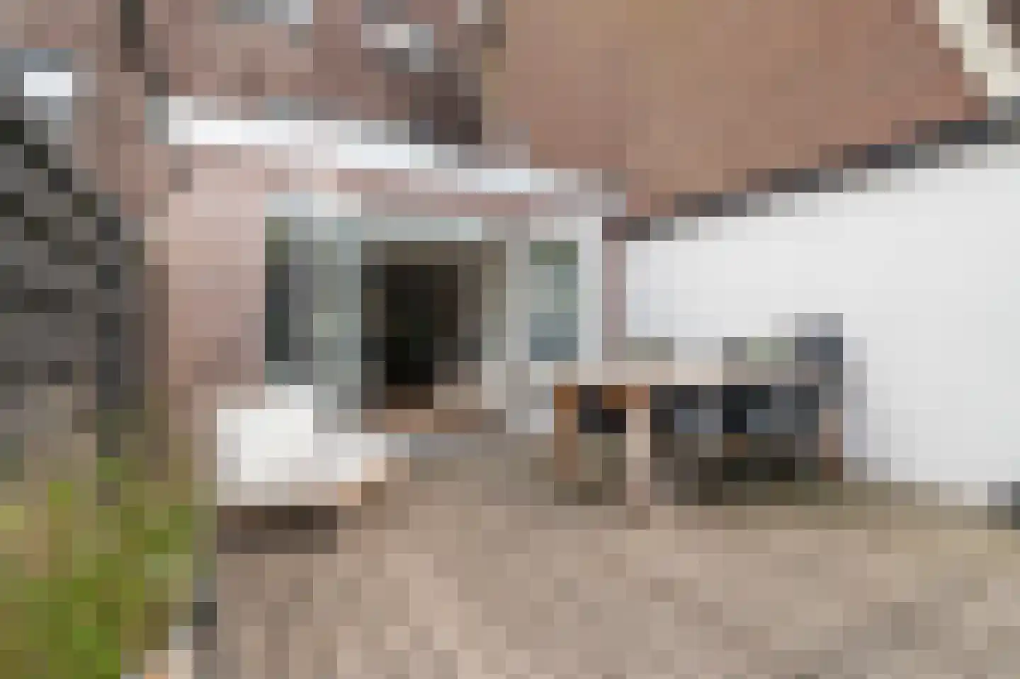 Mezenhof 121 Schagen thumbnail 31
