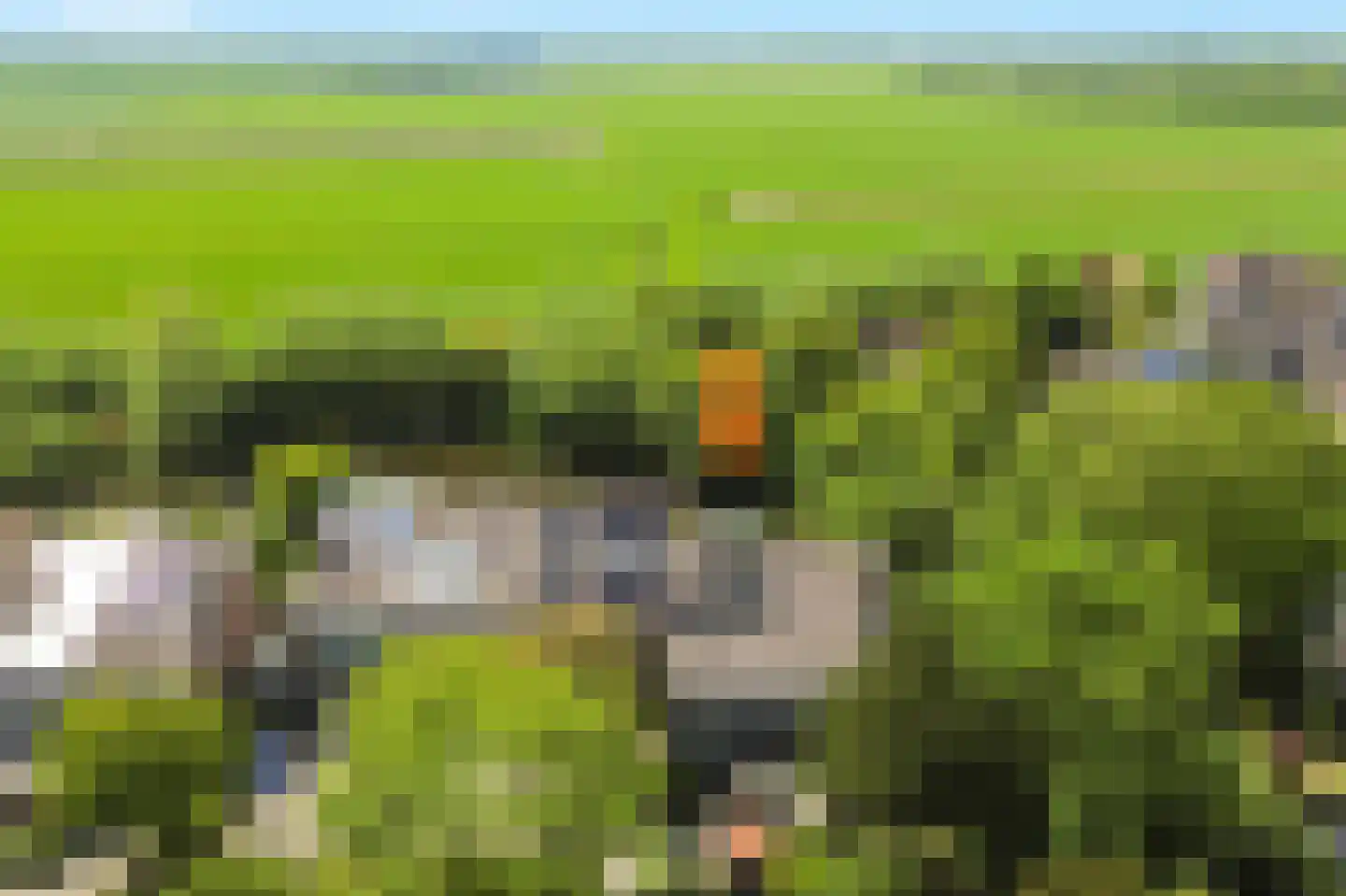 Mezenhof 121 Schagen thumbnail 4