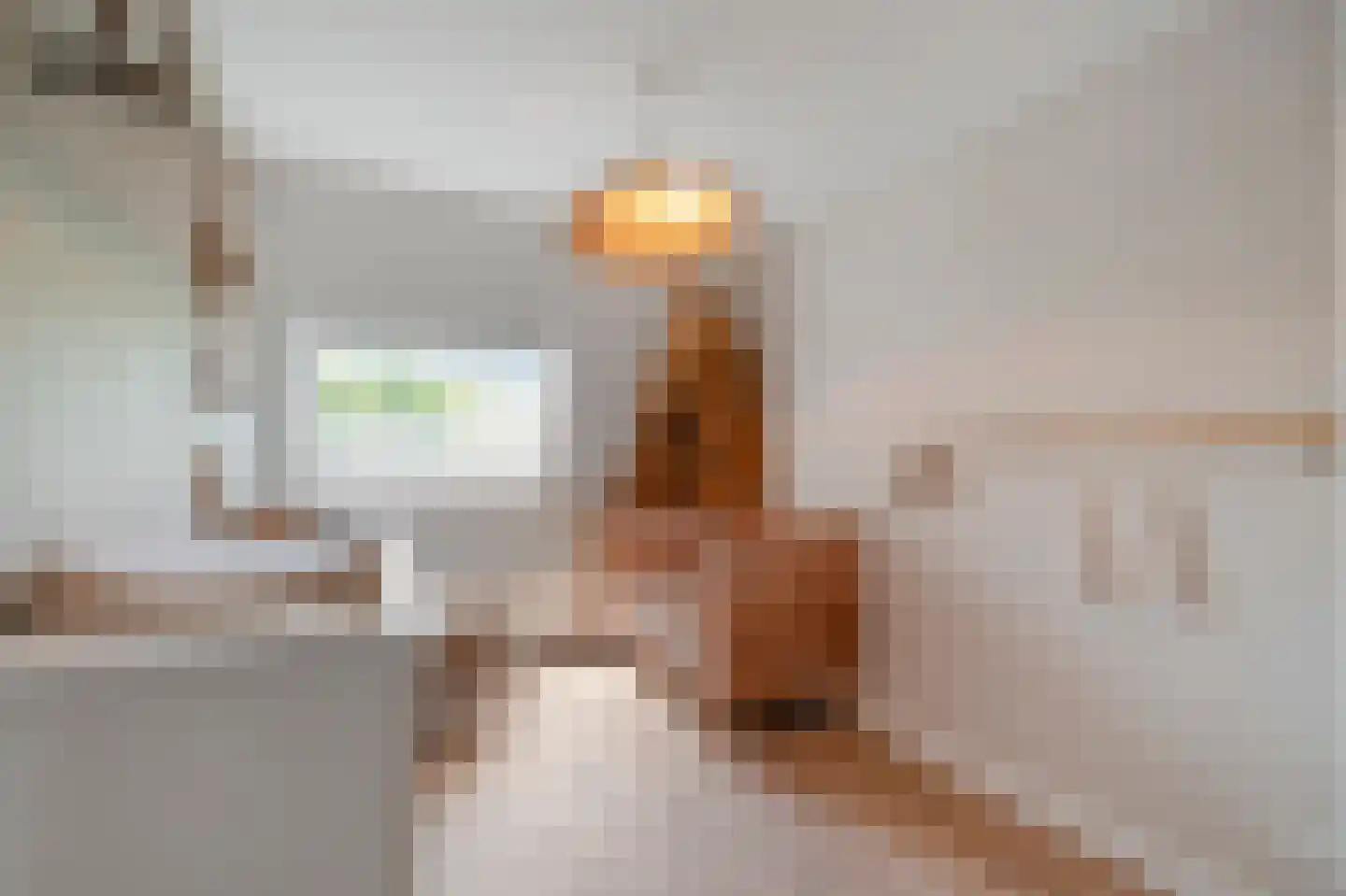Mezenhof 121 Schagen thumbnail 42