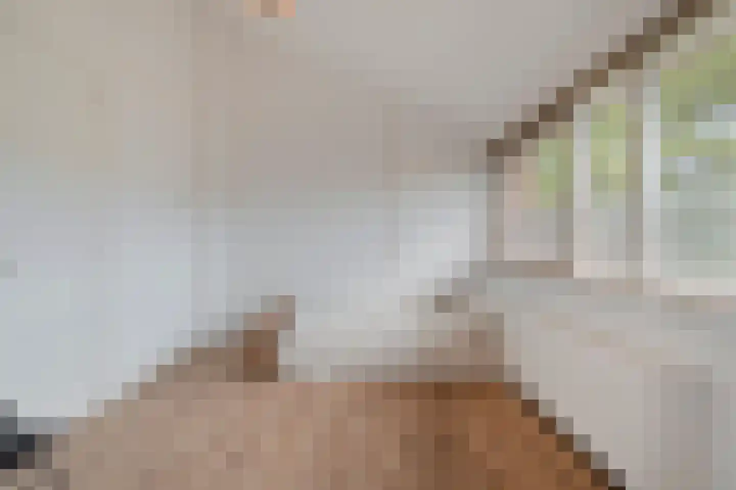 Mezenhof 121 Schagen thumbnail 45