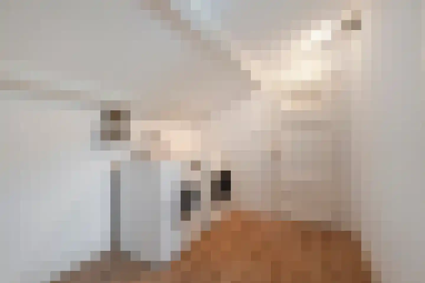 Mezenhof 121 Schagen thumbnail 48