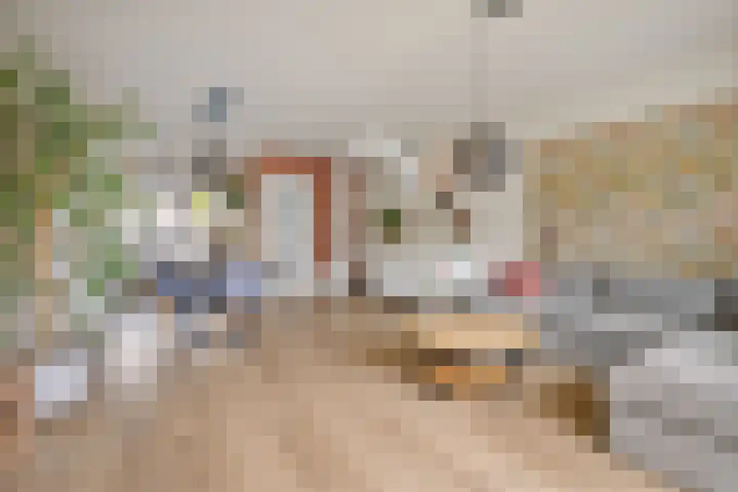Mezenhof 134 Schagen thumbnail 12