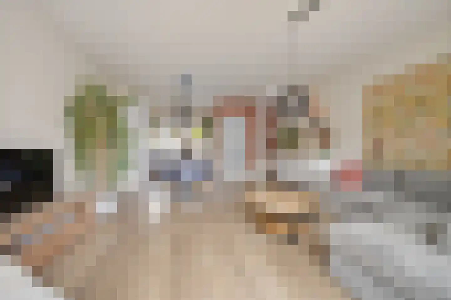 Mezenhof 134 Schagen thumbnail 13