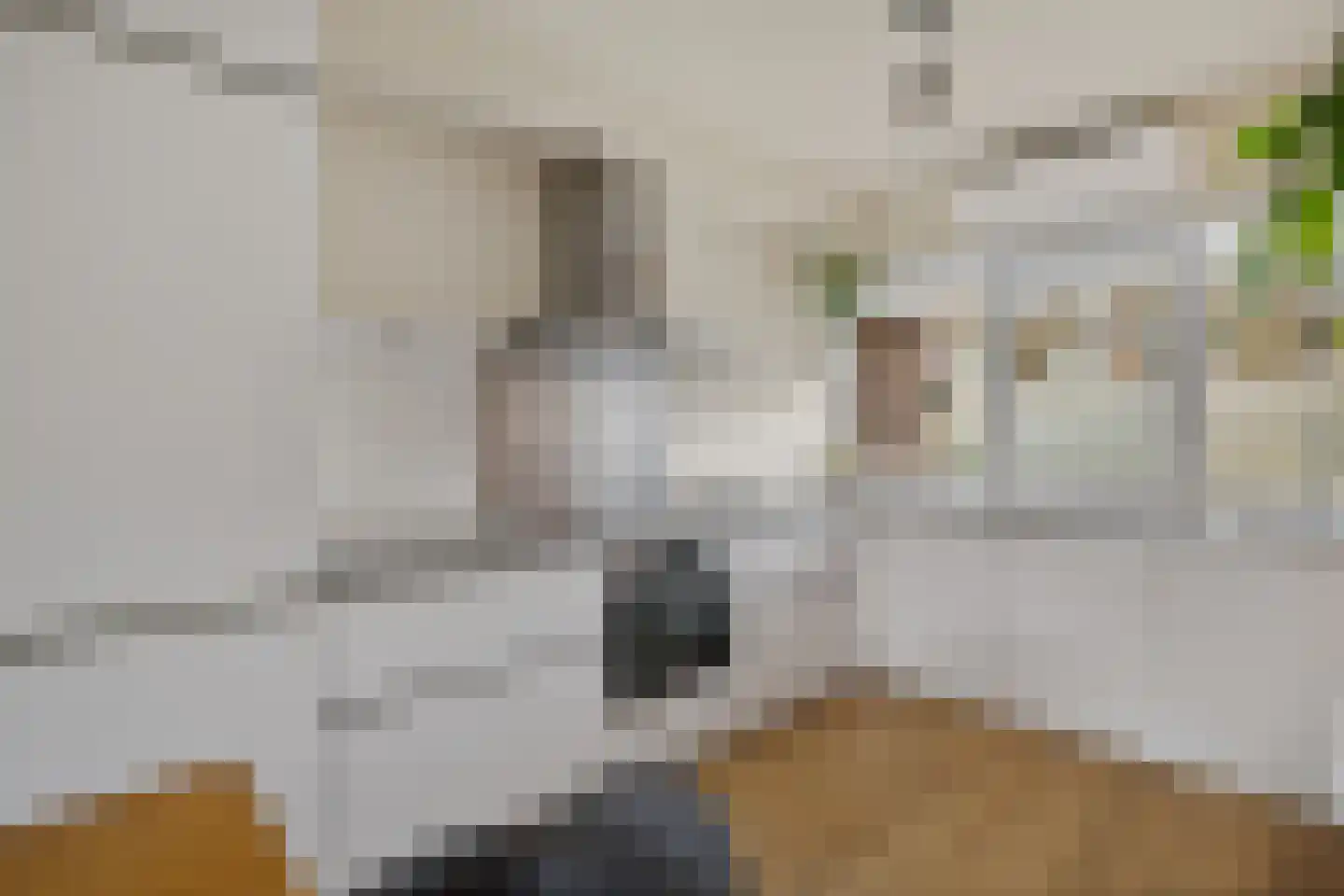 Mezenhof 134 Schagen thumbnail 15