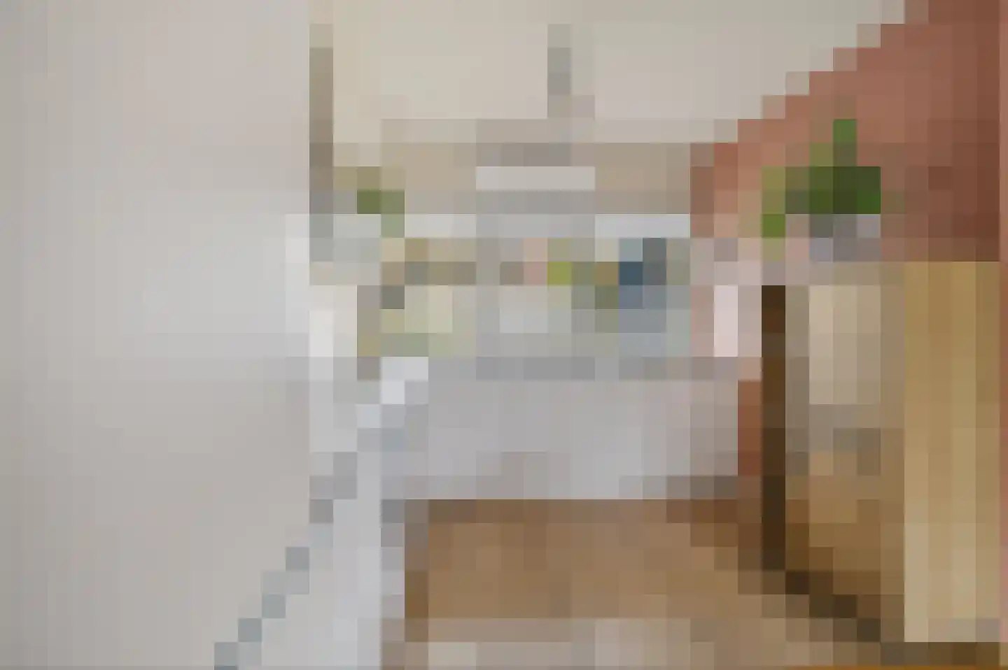 Mezenhof 134 Schagen thumbnail 16