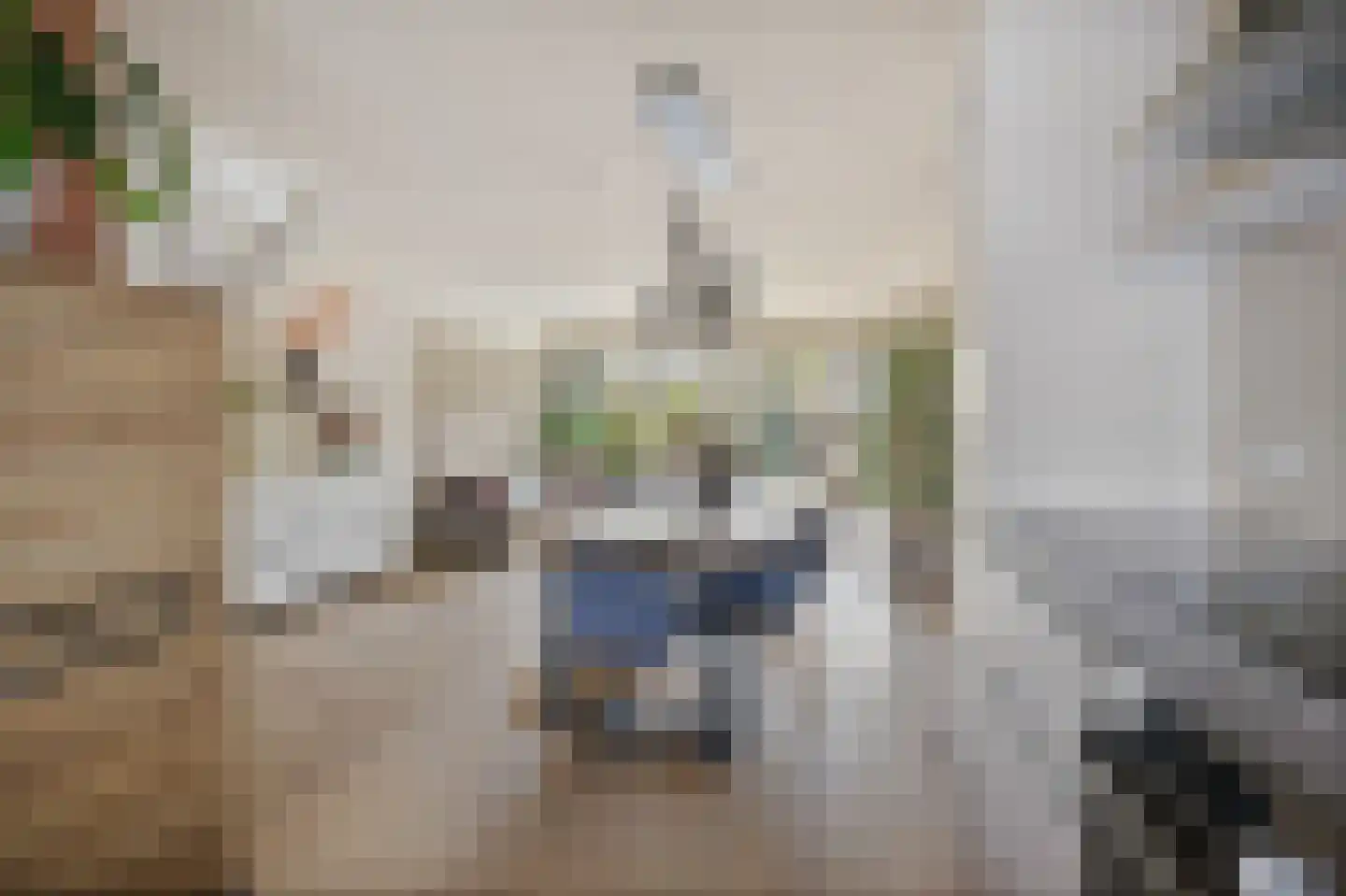 Mezenhof 134 Schagen thumbnail 17