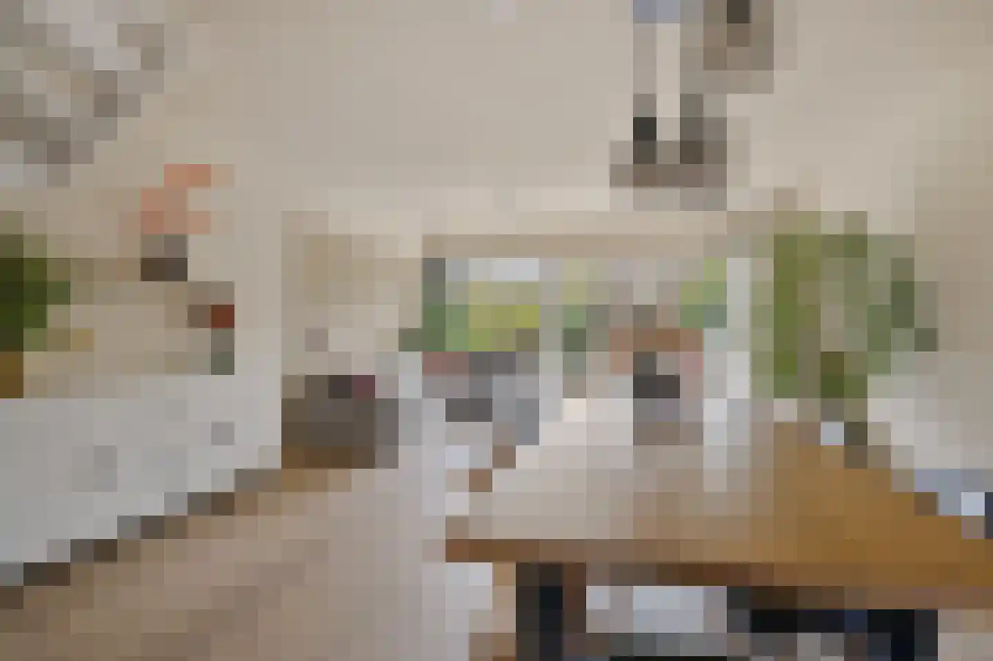 Mezenhof 134 Schagen thumbnail 18