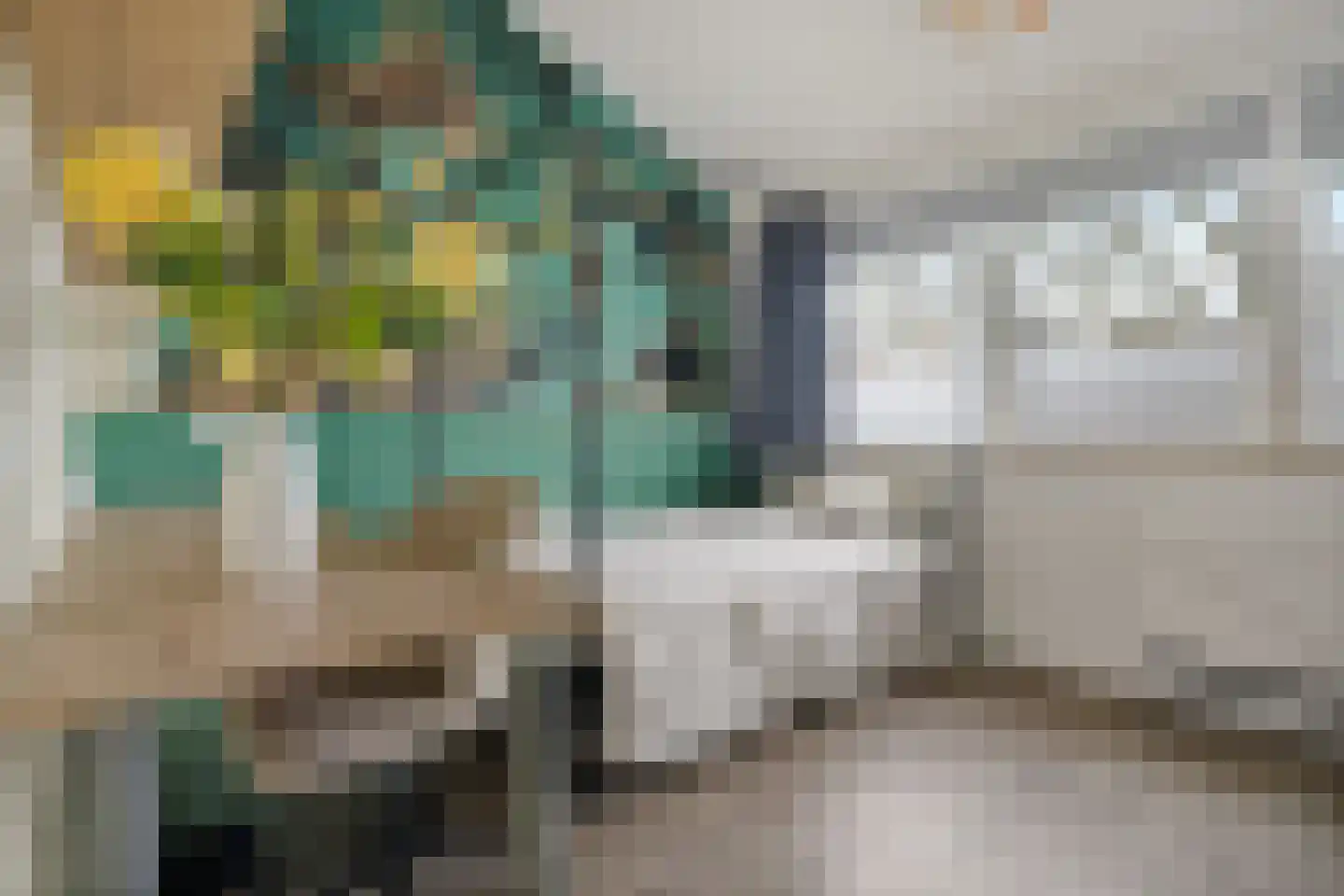 Mezenhof 134 Schagen thumbnail 20