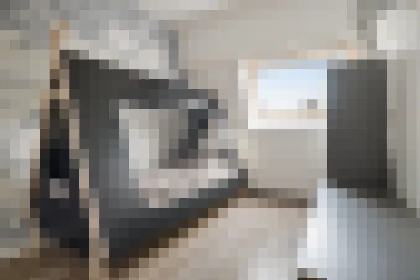 Mezenhof 134 Schagen thumbnail 28