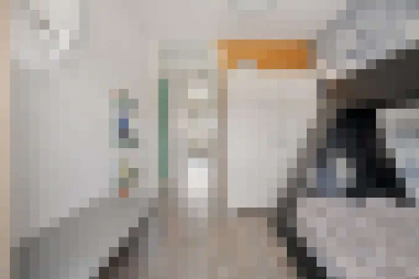 Mezenhof 134 Schagen thumbnail 29