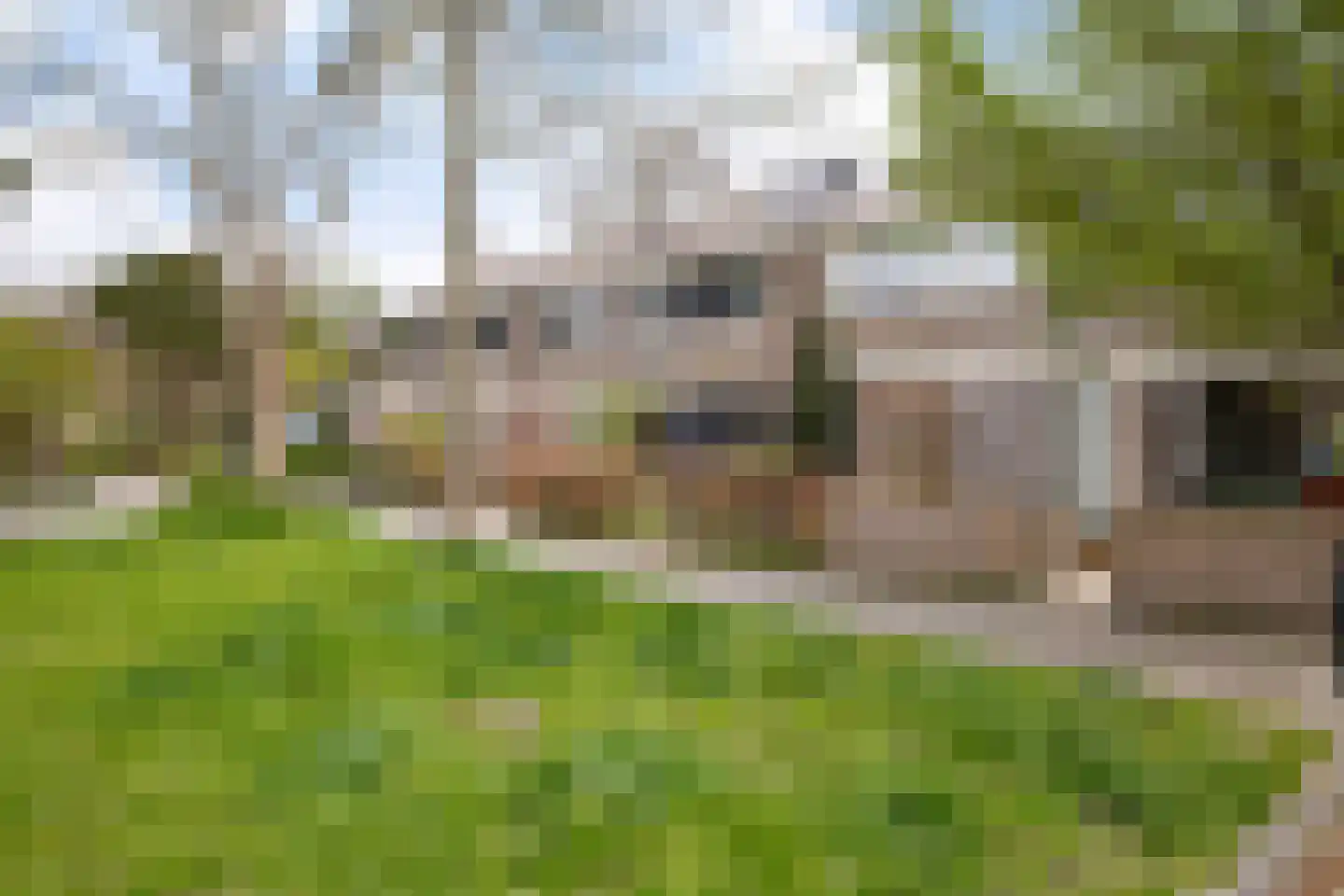 Mezenhof 134 Schagen foto 3