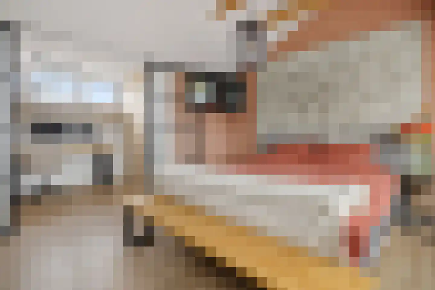 Mezenhof 134 Schagen thumbnail 30