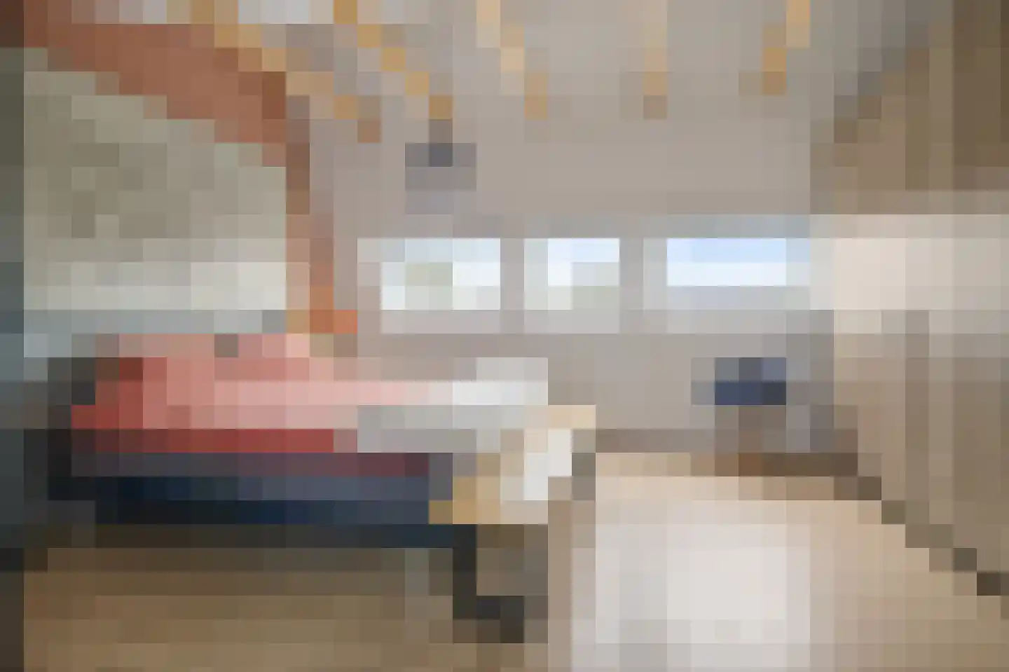 Mezenhof 134 Schagen thumbnail 31
