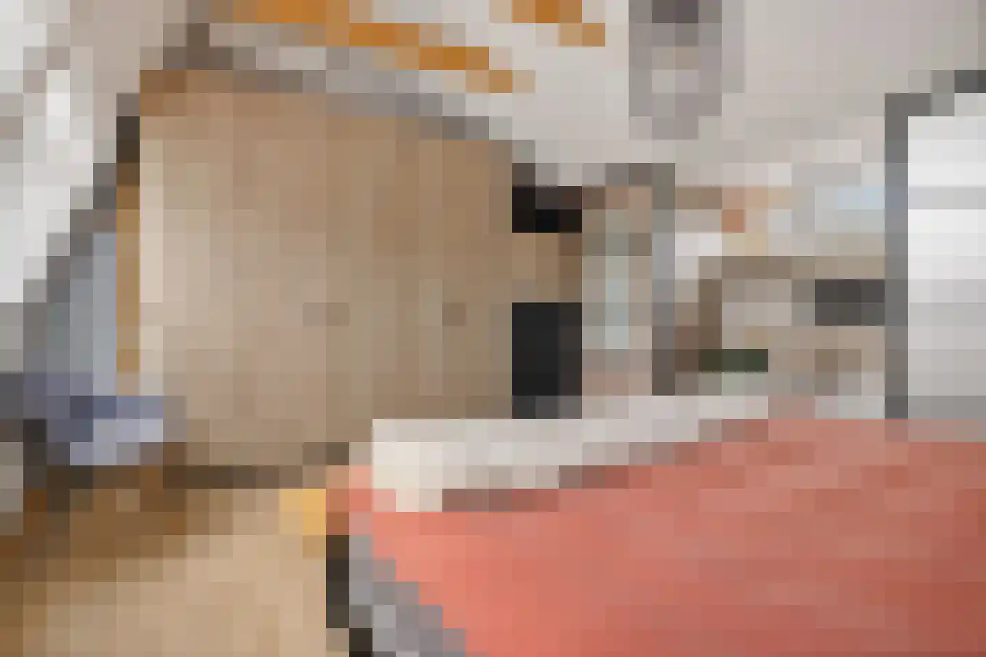 Mezenhof 134 Schagen thumbnail 32