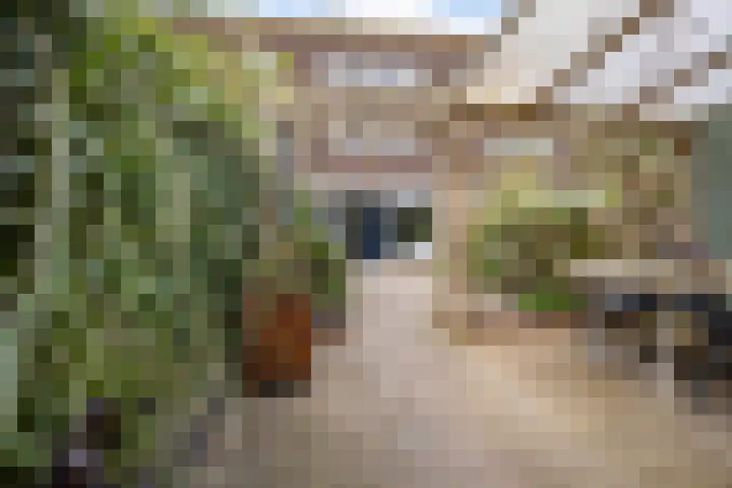 Mezenhof 134 Schagen thumbnail 35