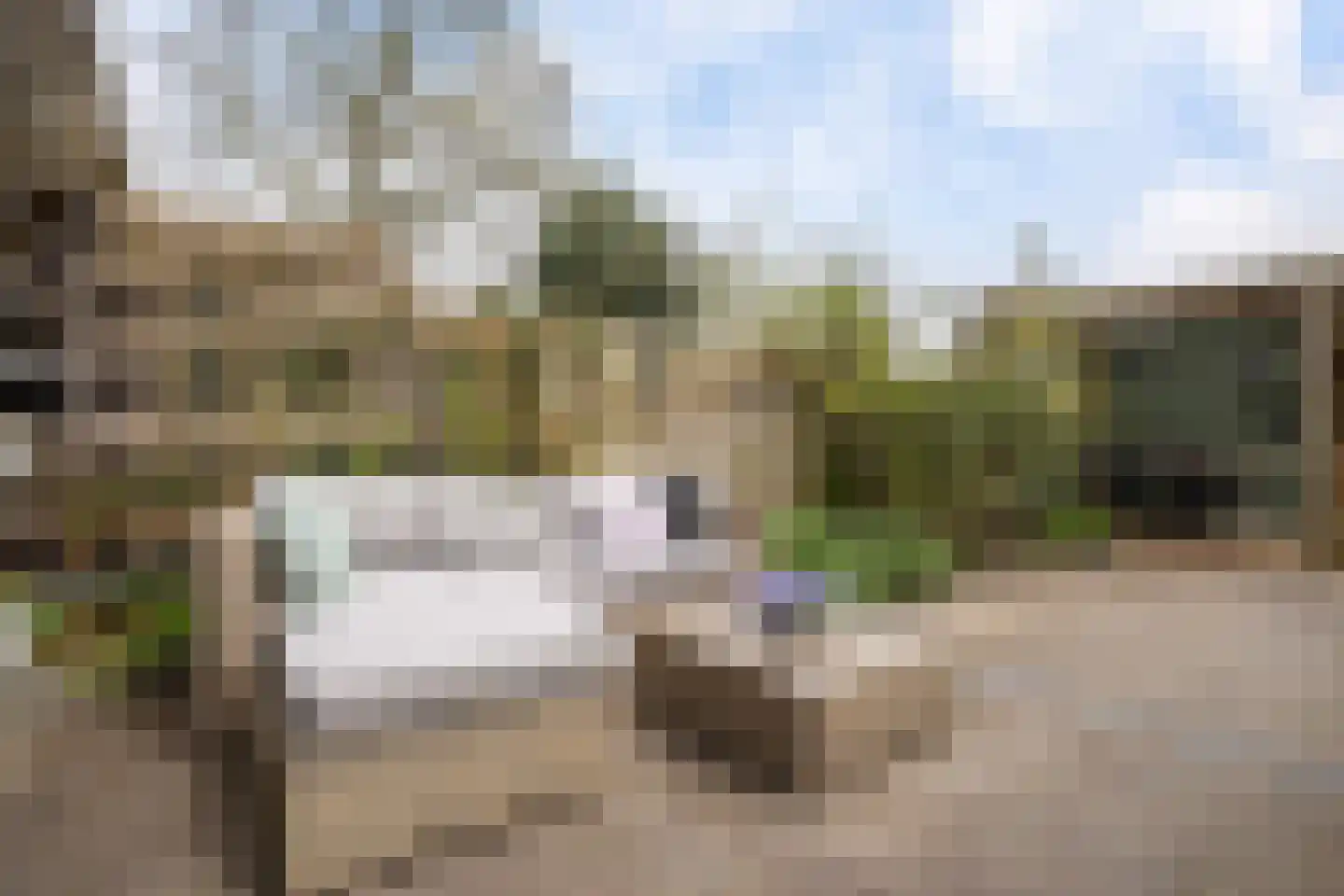 Mezenhof 134 Schagen thumbnail 37