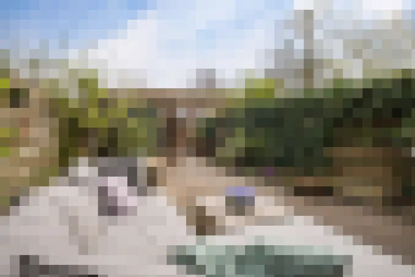Mezenhof 134 Schagen thumbnail 38
