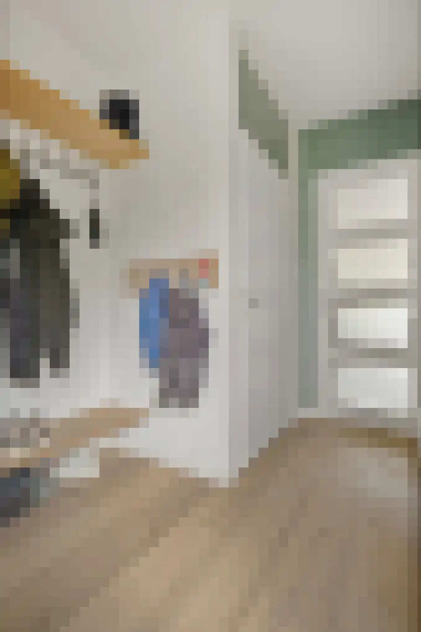 Mezenhof 134 Schagen thumbnail 6
