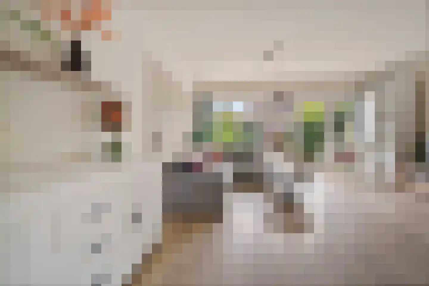 Mezenhof 134 Schagen thumbnail 9