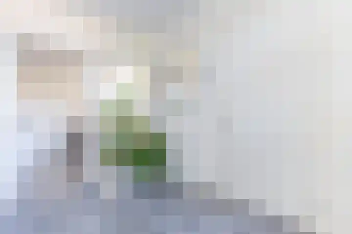 Mezenhof 14 A Soest thumbnail 11