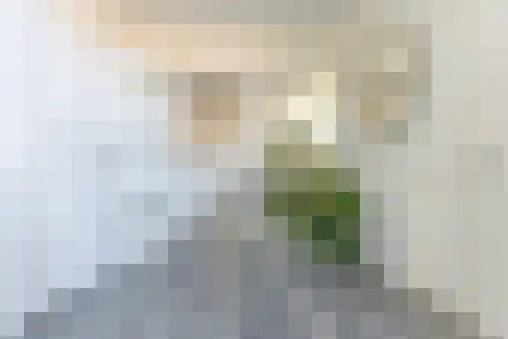 Mezenhof 14 A Soest thumbnail 12