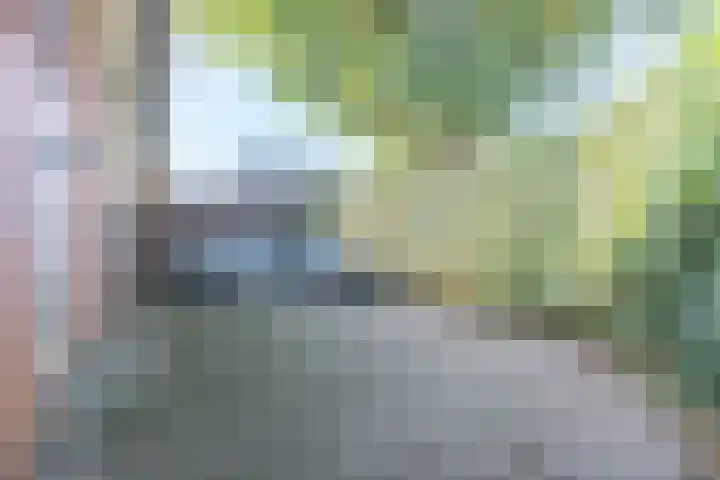 Mezenhof 14 A Soest thumbnail 16
