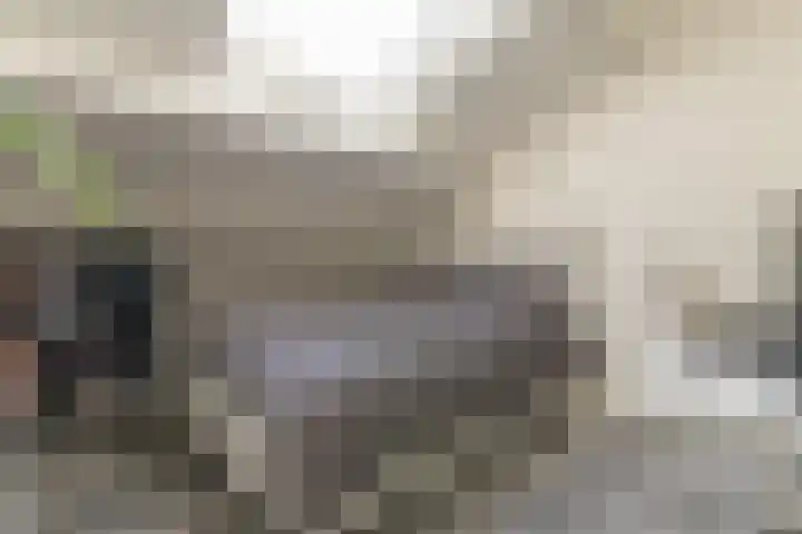 Mezenhof 14 A Soest thumbnail 17