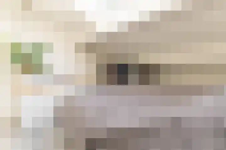 Mezenhof 14 A Soest thumbnail 18