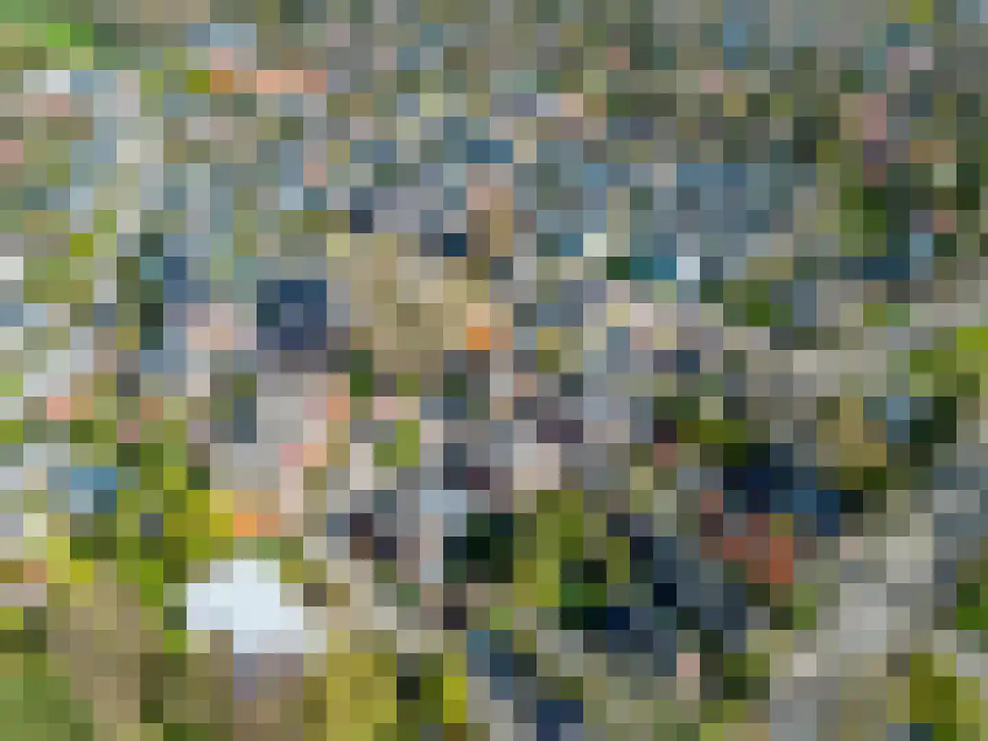 Mezenhof 14 Soest thumbnail 31