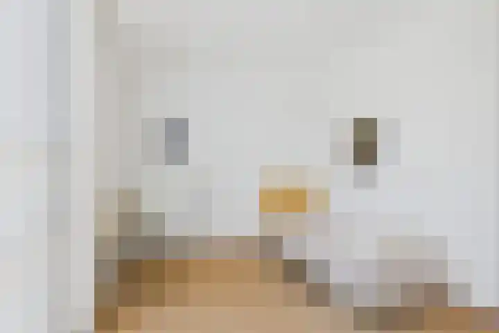 Mezenhof 15 Middelburg thumbnail 22