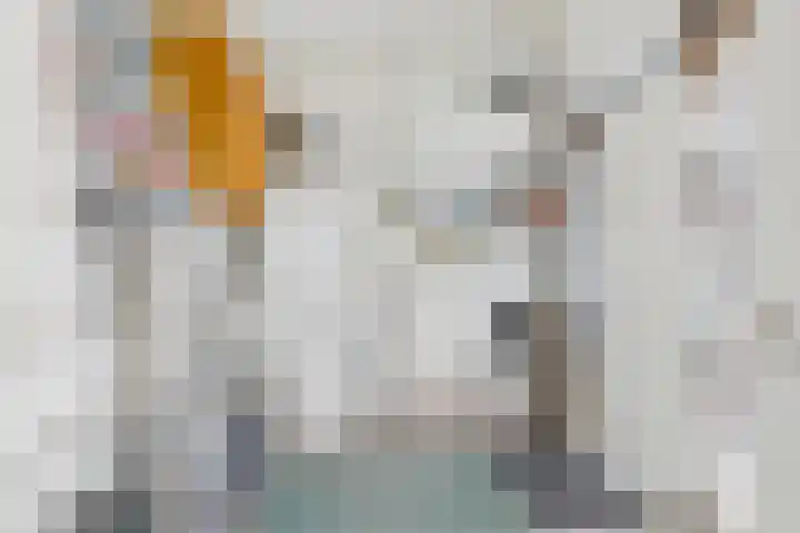 Mezenhof 15 Middelburg thumbnail 29
